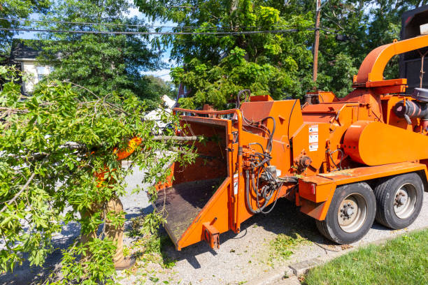 Best Residential Tree Removal  in Garden Ridge, TX